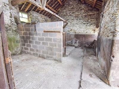 Picture 29